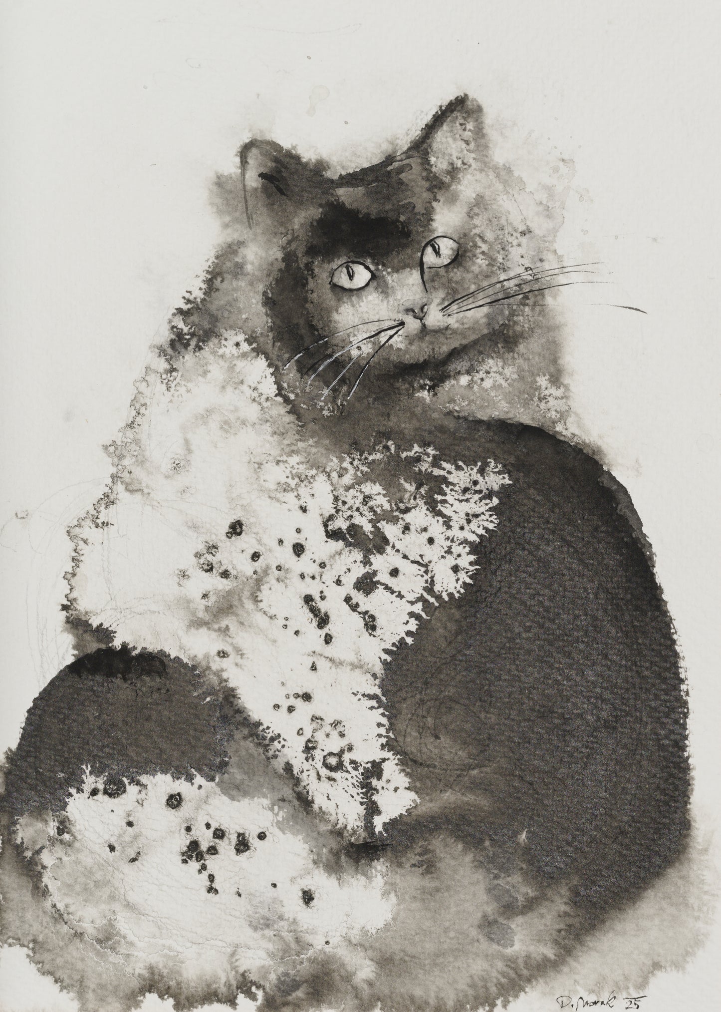 Midnight 29X21 Watercolor