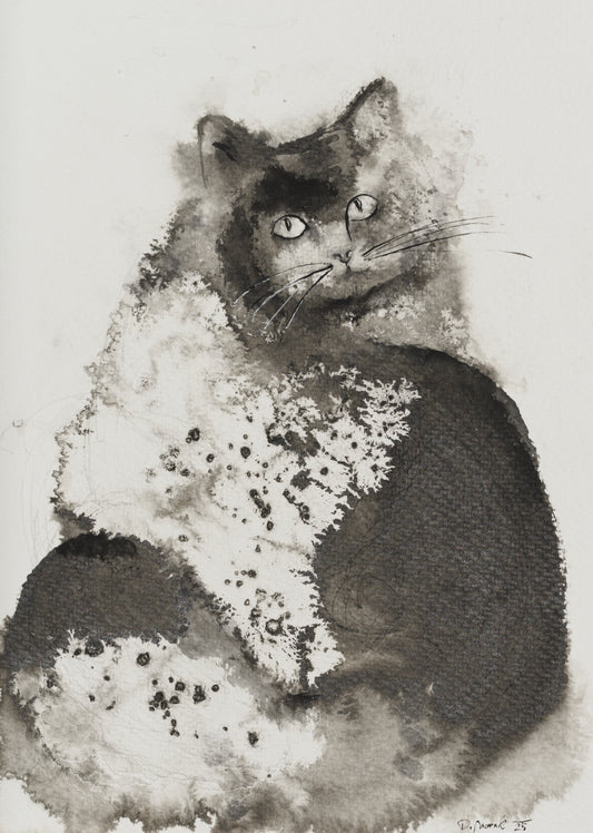 Midnight 29X21 Watercolor