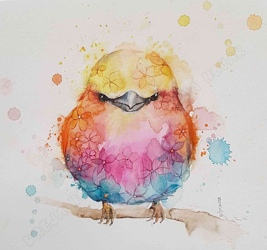 Angry Bird Watercolor | Dreja Novak