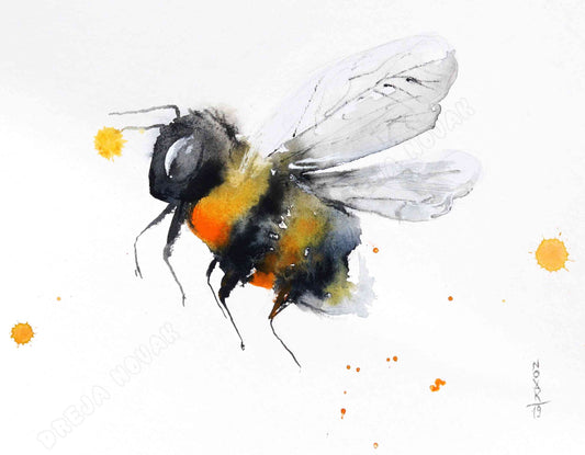 Bumblebee Watercolor | Dreja Novak